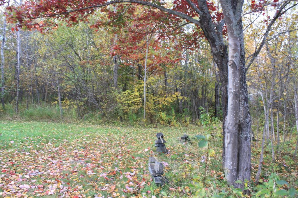 Carolyn Beach Inn Thessalon Bagian luar foto
