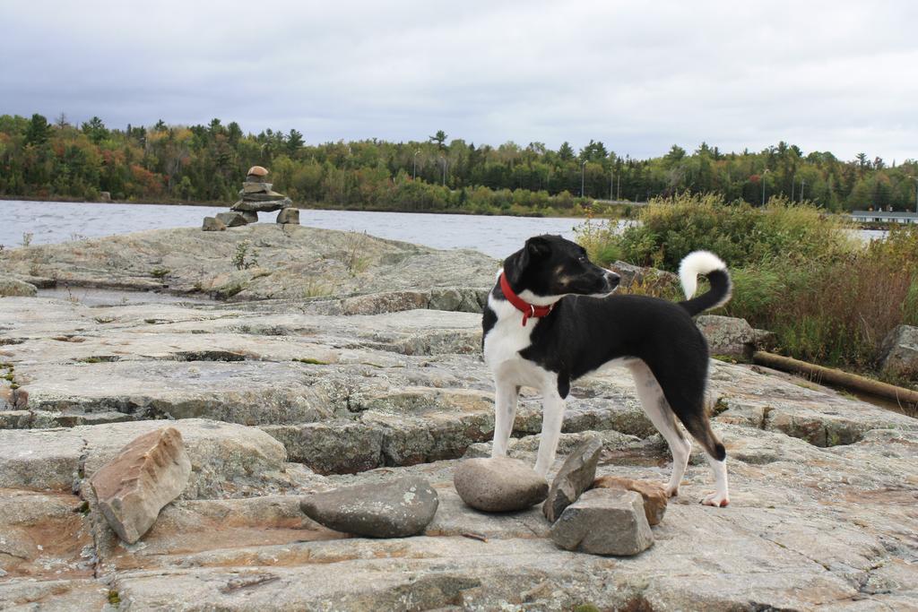 Carolyn Beach Inn Thessalon Bagian luar foto
